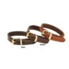 Tory Leather Bracelets 1 Tory Leather Bracelets -Equine Elegance 1800 Tory.Leather Bracelet.W.Brass .Buckle Black.Brown