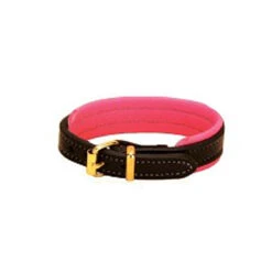 Tory Leather Padded Bracelets -Equine Elegance 1804 Tory.Leather Padded.Bracelet.W.Brass .Buckle Blk.Pink