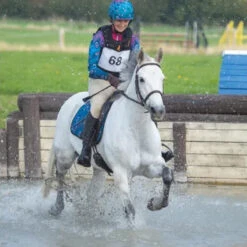 Number Bib -Equine Elegance 8081 Shires Number.Bib In.Use