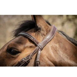 Penelope Smoothie Bridle -Equine Elegance FrenchEq 301604218 smoothiebridle.havana1