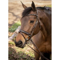 Penelope Smoothie Bridle -Equine Elegance FrenchEq 301604218 smoothiebridle.havana f6226b8e fc7a 4b52 a171 d66925e302bd