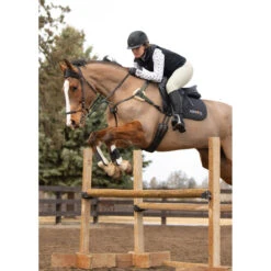 Kerrits Women's 3-Season Tailored Knee Patch Breech -Equine Elegance Kerrits 40681P Sand IRL