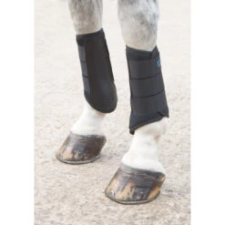 Arma Neoprene Brushing Boots -Equine Elegance Shires 170A ArmaNeoBrushingBootBlck