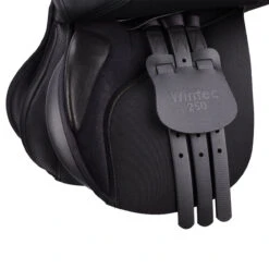 Wintec 250 All Purpose Saddle -Equine Elegance W 250 AP GirthingSystem Blk