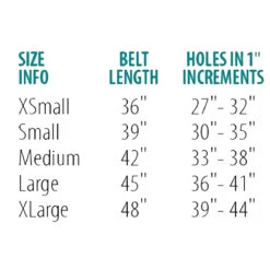 Perri's Padded Leather Belt -Equine Elegance belt size chart 00294.1588165726.1280.1280