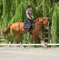 Kerrits Women's Crossover II Full Seat Breech -Equine Elegance black3 68735.1581518814.1280.1280 ee0169b4 275f 4e97 9c76 48ce457233a0