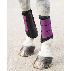 Arma Air Motion Brushing Boots -Equine Elegance plum